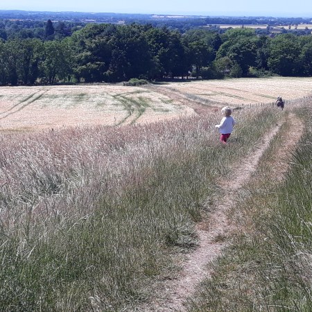 walking with a toddler getting out with the kids yorkshire
